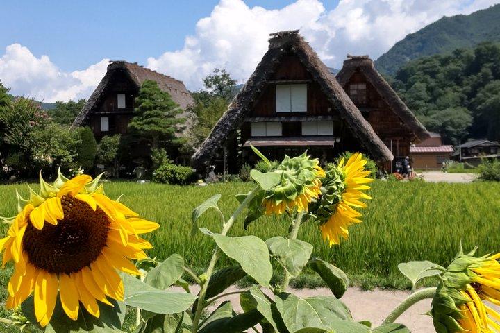 [Tour in autobus di un giorno con partenza dalla stazione di Kanazawa] Tour in autobus di Shirakawa-go e Gokayama, due villaggi patrimonio dell'umanità