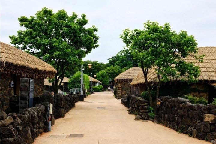 Miglior tour di un giorno a Jeju : UNESCO e imperdibili (Est/Sud-Ovest)