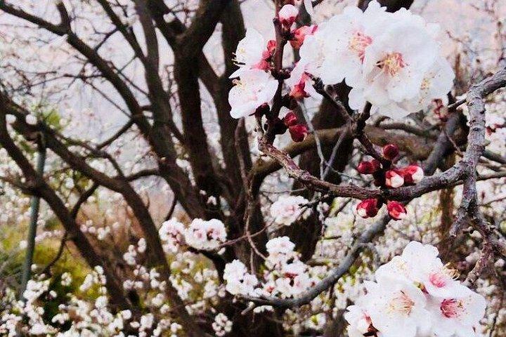 ナハルとワカンへの終日プライベート ツアー