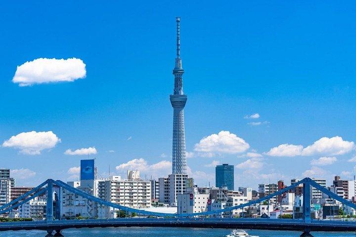 4 Timers Tokyo Fuldt Custom Private Van Tour med Engelsk Vejleder