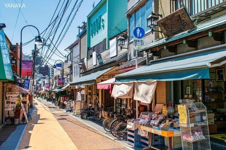 東京完全カスタムバンツアー4時間（英語ガイド付き）