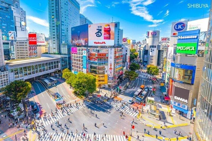 東京完全カスタムバンツアー4時間（英語ガイド付き）