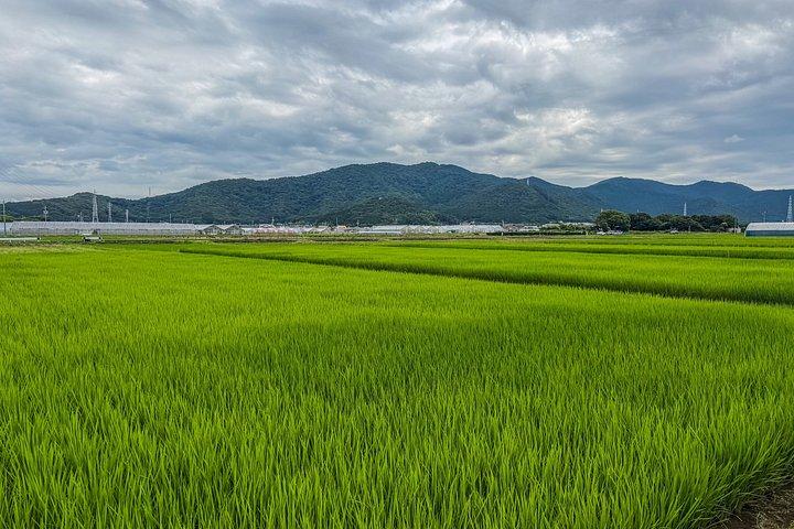 Oplev det skjulte landlige Japan En eksklusiv rejse til Toyohashi
