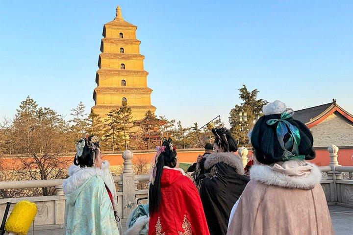 Xi'an privétour van een hele dag naar Terracotta Army, Pagoda, City Wall