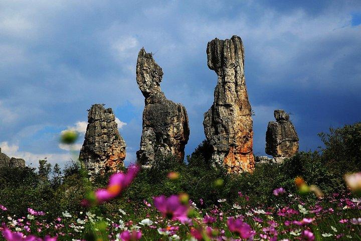 雲南昆明大理と麗江ハイライトツアー8日間