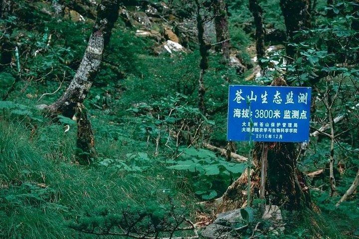雲南昆明大理と麗江ハイライトツアー8日間