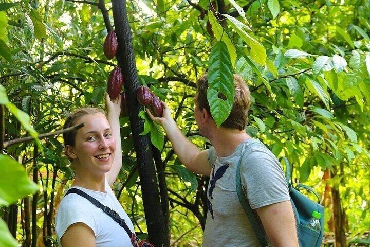 Tour di mezza giornata con Cai Rang Mercato galleggiante Cacao e Piccolo Canale