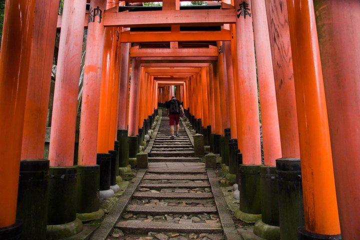 Kyoto Bus Tour from Osaka by Train: Nijo & Bamboo grove