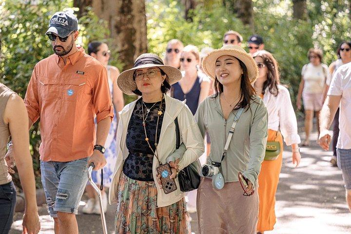 トスカーナ一日旅行：ピサ、シエナ、サン・ジミニャーノ＆キアンティランチ