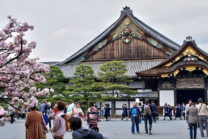 金閣寺嵐山と二条城日帰りツアー