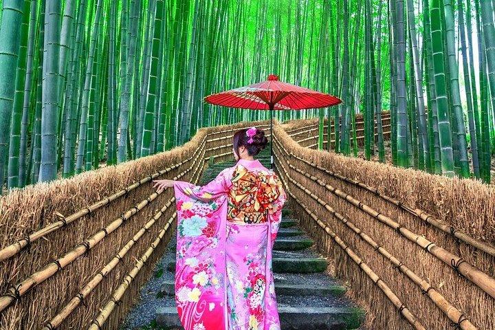 金閣寺嵐山と二条城日帰りツアー