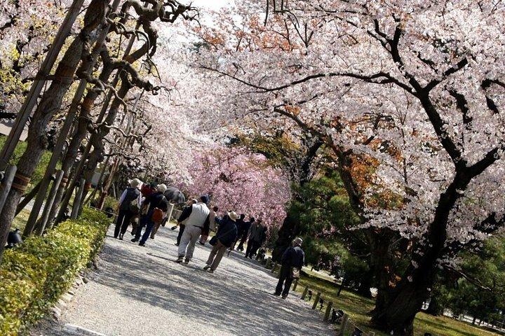 金閣寺嵐山と二条城日帰りツアー