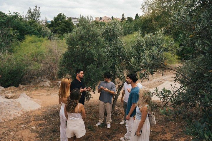 Atenas : Visita guiada al aceite de oliva con degustación y aperitivos