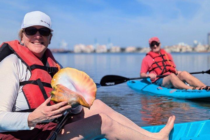 Case vacanza a Key Biscayne con piscina