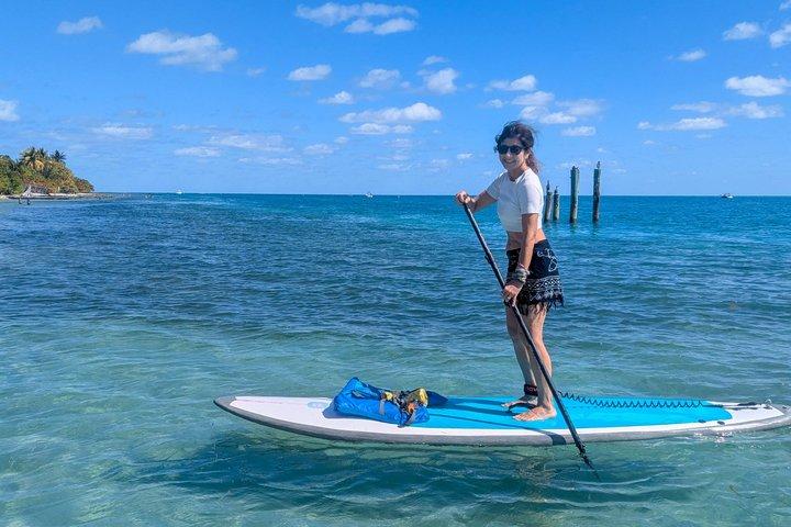 Case vacanza a Key Biscayne con piscina