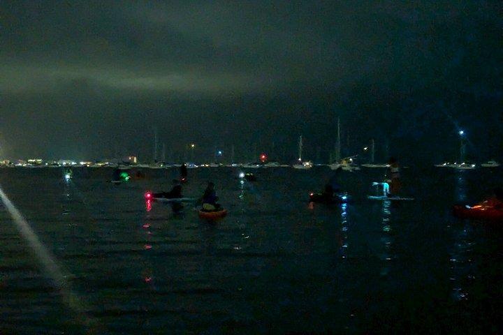 マイアミペリカン島ナイトツアーカヤックまたはパドルボードアドベンチャー