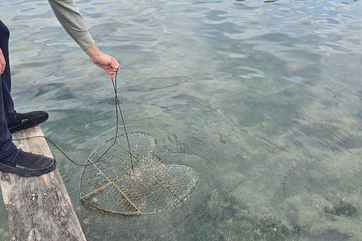 Ston & Peljesac：プレミアムワイン付きオールインクルーシブ5コースランチ