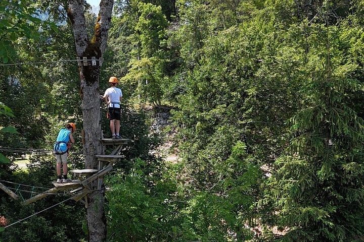 Tree Top Adventure at Tamié Fort