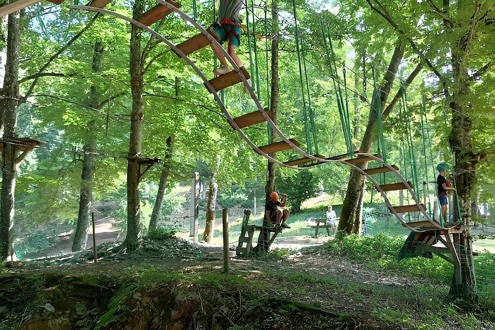 Tree Top Adventure at Tamié Fort