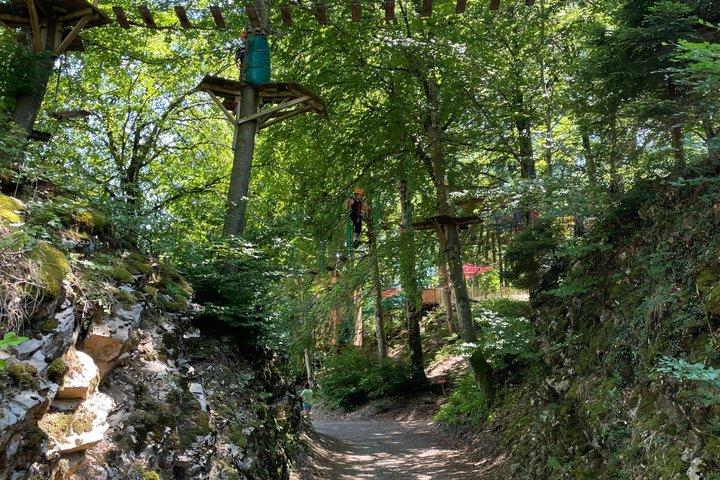 Tree Top Adventure at Tamié Fort