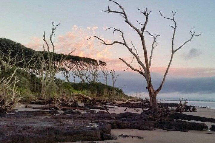 Guided Costal Walking Tour in Amelia and Talbot Islands