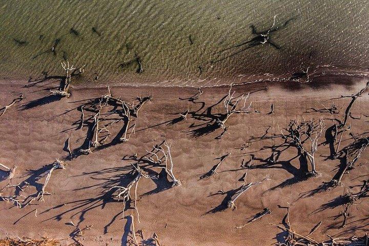Excursão guiada a pé pelas ilhas Amelia e Talbot