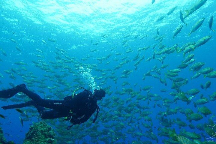 Buceo en la isla Terceira, Azores