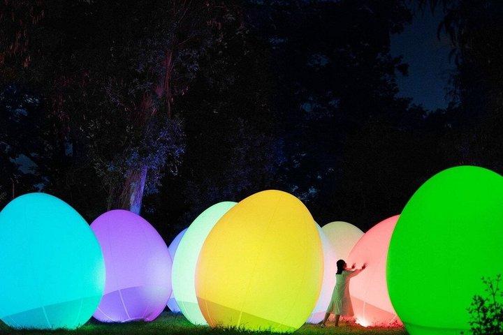 TeamLab Botanischer Garten Osaka Interaktive Lichtkunst Ticket