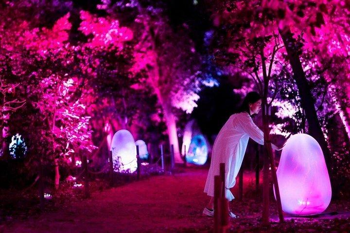 TeamLab Botanischer Garten Osaka Interaktive Lichtkunst Ticket