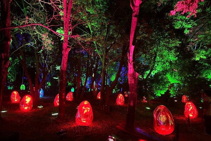 TeamLab Botanical Garden Osaka Interactive Light Art Ticket