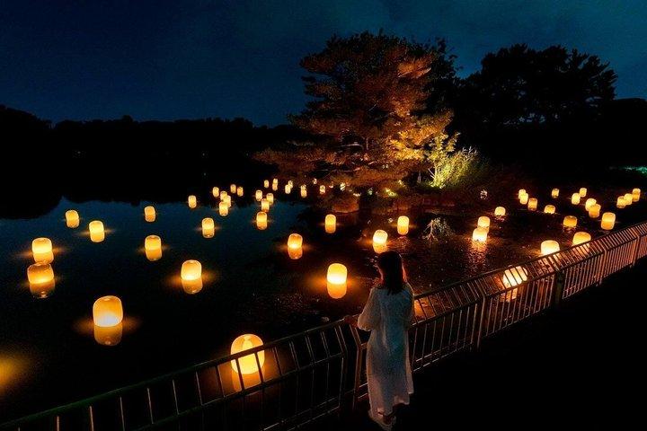TeamLab Botanischer Garten Osaka Interaktive Lichtkunst Ticket