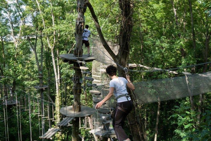 AccroCamp Rueil-Malmaison - Treetop Adventure Course