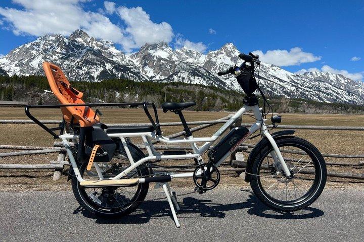 Door2Door E-Bike 配達 - ジャクソン ホールと GTNP で最も景色の良いルートに乗ります。