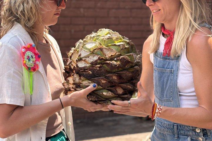 Authentic Mezcal Experience Oaxaca Small Group Local Producers