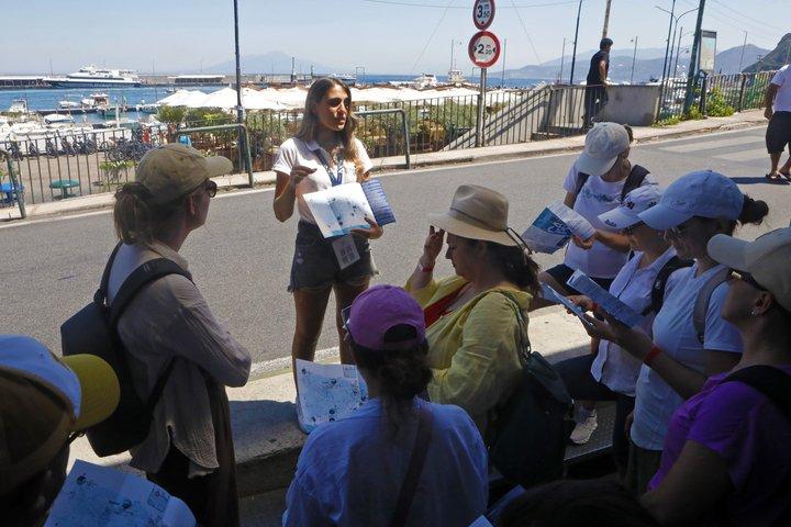 Excursion d'une journée en croisière et visite de la ville Capri au départ de Naples