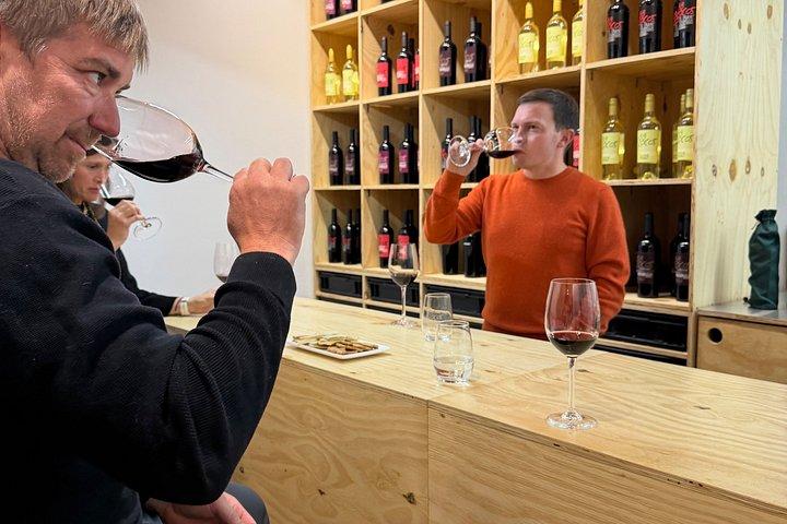 Learn to Taste Wine Like a Sommelier: Interactive Wine Tasting