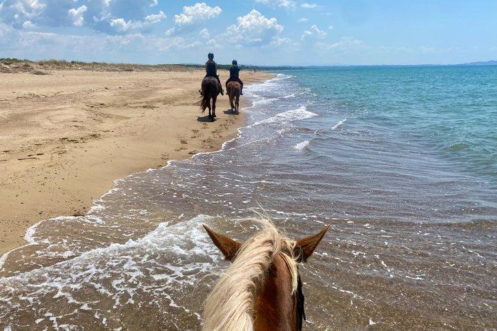 Shared Horse Riding and Kourouta Beach Tour from Katakolo