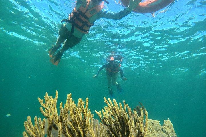 Costa Maya Natural Reef Snorkeling Tour