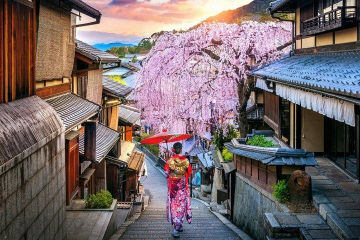 Visite privée de Kyoto Gion : Culture Geisha et rues cachées