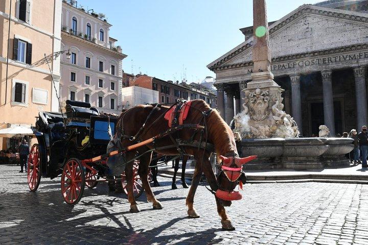 Private Fahrt mit der Pferdekutsche in Rom