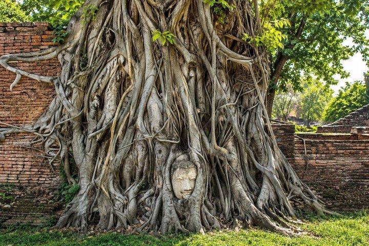 バンコク発アユタヤユネスコ遺産ジョインツアー往復
