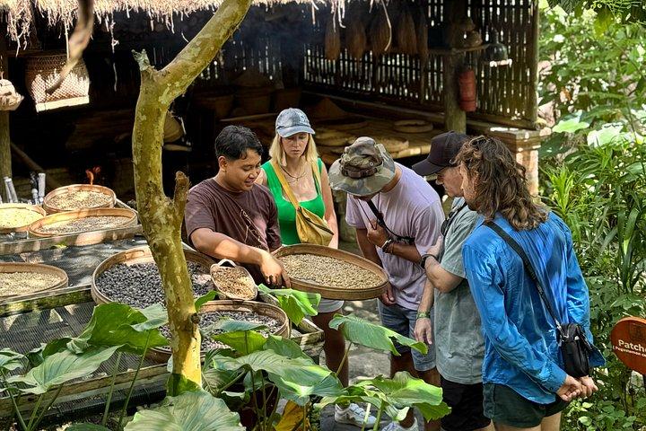 Customizable 10 Hour Private Bali Customizable Tour with Driver