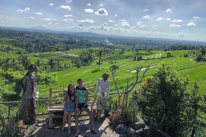 Customizable 10 Hour Private Bali Customizable Tour with Driver