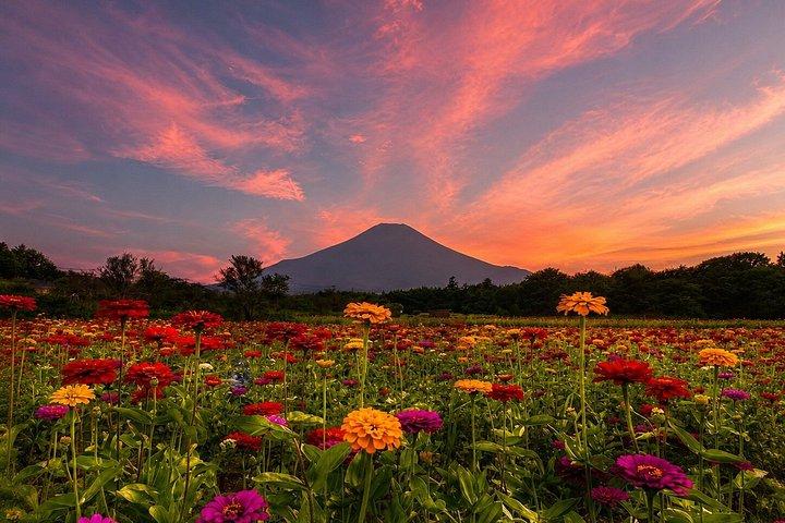 東京発 富士山と山中湖の日帰りプライベートツアー