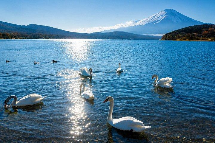 東京発 富士山と山中湖の日帰りプライベートツアー