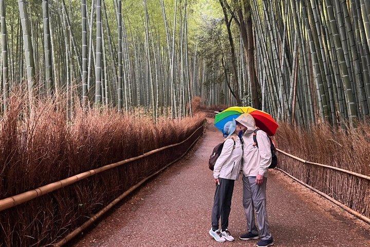 Excursion d'une journée à Kyoto au départ de Tokyo en Bullet Train