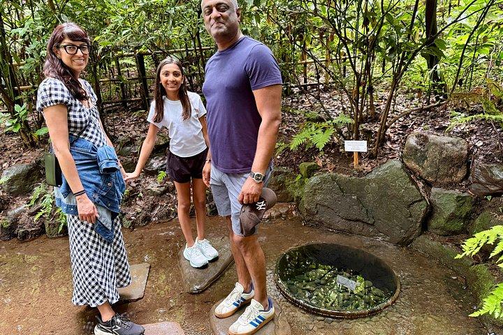 Tokyo Custom Private Tour with a Trend-Savvy Local Guide