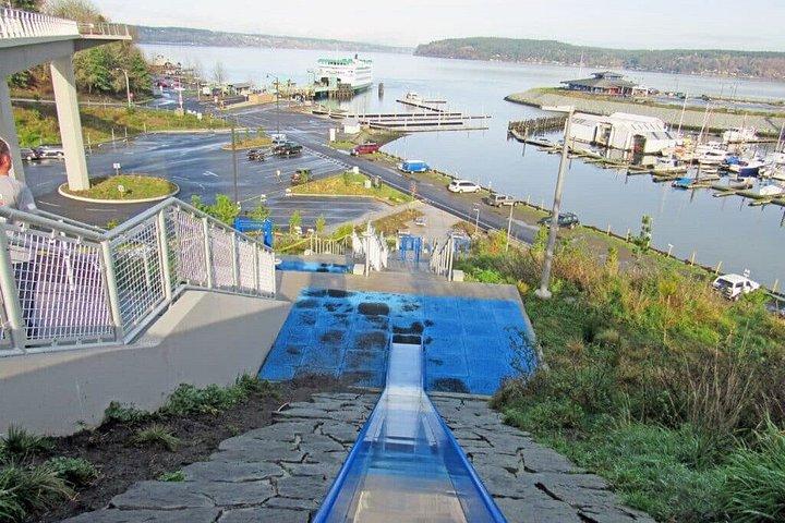 シアトル発：ポイントディファイアンスパーク＆動物園プライベート日帰り旅行