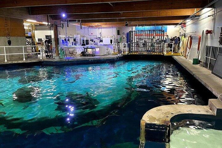 シアトル発：ポイントディファイアンスパーク＆動物園プライベート日帰り旅行