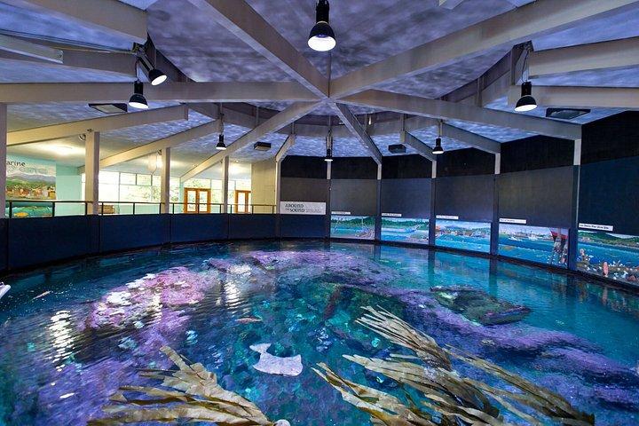シアトル発：ポイントディファイアンスパーク＆動物園プライベート日帰り旅行